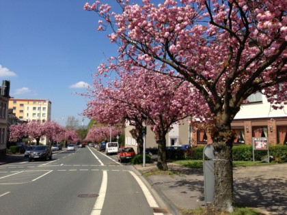 Foto: Haus Fuchs